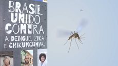 O Ministério da Saúde lançou uma campanha nacional de combate à dengue, Zika e chikungunya. - Imagem: reprodução I Instagram @minsaude