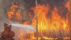 Cerca de 80 mil hectares foram queimados segundo levantamento - Imagem: Reprodução / X / @sfvanderley