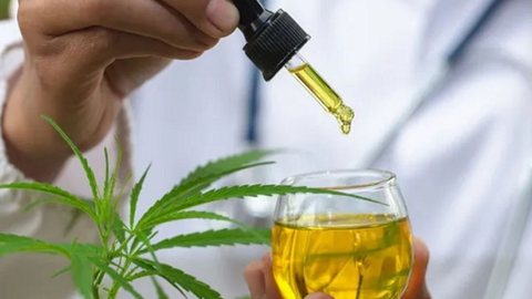 Serão disponibilizadas cinco formulações orais de canabidiol, seguindo as diretrizes da Anvisa - Imagem: Divulgação / Fiocruz