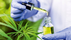 Anvisa amplia regras de comercialização de medicamentos à base de cannabis no Brasil - Imagem: Reprodução