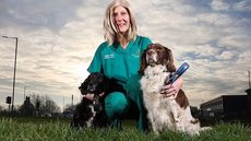 Angie Shaw descobriu a doença enquanto cuidava de um cão labrador - Imagem: divulgação/Beechwood Vets