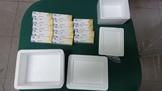 Medicamentos foram apreendidos na casa do casal em Pindamonhangaba; produto era vendido pelas redes sociais, segundo a polícia. - Imagem: Divulgação/Polícia Civil de SP
