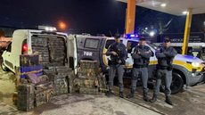 Casal é preso com quantidade exorbitante de maconha no interior de SP - Imagem: Divulgação / Polícia Militar Rodoviária
