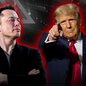 Caso eleito, Trump quer trabalhar com Elon Musk na Casa Branca - Imagem: Reprodução / Instagram / @realdonaldtrump