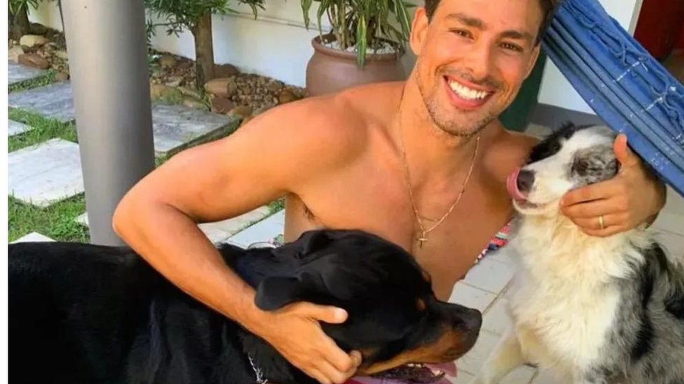 Cauã Reymond atualiza estado de saúde da cadela Shakira após envenenamento; saiba mais - Imagem: Reprodução/ Instagram