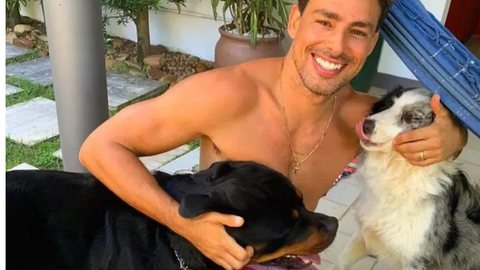 Cauã Reymond atualiza estado de saúde da cadela Shakira após envenenamento; saiba mais - Imagem: Reprodução/ Instagram