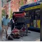 Cavalo sente fraqueza e tomba no chão durante passeio em Nova York - Imagem: Reprodução/ NBC News