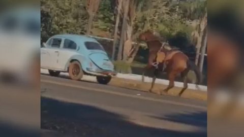Testemunhas registaram momento em que o cavalo é arrastado pelo motorista - Imagem: reprodução/TV Globo