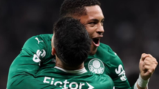Com o resultado, o Palmeiras chegou a 43 pontos, mas desperdiçou a chance de encurtar a distância para o Flamengo, que também empatou na rodada - Imagem: Instagram/ @palmeiras