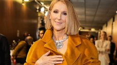 Céline Dion retornará aos palcos - Imagem: Reprodução / Instagram / @celinedion