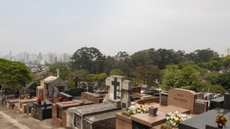 Empresa notifica famílias com taxa anual de limpeza e conservação de jazigos - Imagem: Reprodução | Central Funerária