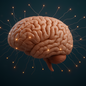 Sistema de recompensa cerebral pode ser ativado por experiências como ouvir música, praticar exercícios, estar na natureza e ajudar outras pessoas - Imagem: Reprodução