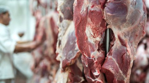 China abre investigação sobre importações de carne bovina brasileira - Imagem: Reprodução / Freepik
