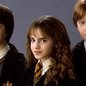 CHOCANTE: Harry Potter com erro de impressão é leiloado por fortuna; saiba valor - Imagem: Reprodução/ Instagram