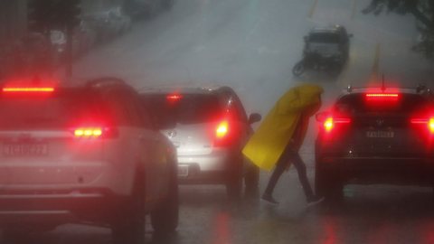Chuva e fortes ventos elevam risco de quedas de árvores e alagamentos em SP - Imagem: Reprodução / Agência Brasil / Paulo Pinto