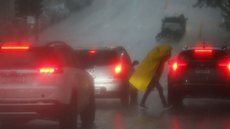 Chuva e fortes ventos elevam risco de quedas de árvores e alagamentos em SP - Imagem: Reprodução / Agência Brasil / Paulo Pinto