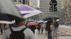 O acúmulo da chuva pode ultrapassar os 300 milímetros - Imagem: Reprodução / Rovena Rosa / Agência Brasil