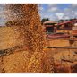 Exportações do agro brasileiro - Imagem: Reprodução | TV Globo