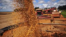 Exportações do agro brasileiro - Imagem: Reprodução | TV Globo