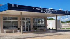 Cachorro estava debilitado havia semanas e agora recebe cuidados veterinários. - Imagem: Divulgação/Prefeitura de Araçatuba.