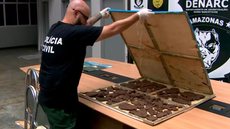 Investigadores encontraram cocaína negra, uma substância nova no Brasil, escondida em móveis de uma mansão em Manaus - Imagem: Reprodução/Tv Globo
