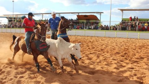 Comissão aprova projetos de lei que revogam a vaquejada como esporte no DF - Imagem: Reprodução / G1 / Valdivan Veloso