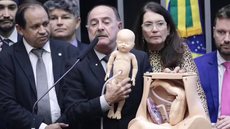 Comissão da Câmara aprova PEC que proíbe o aborto legal no Brasil - Imagem: Divulgação / Câmara dos Deputados / Zeca Ribeiro