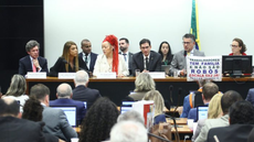 Comissão especial da Câmara aprovou a PEC do fim da escala 6x1 por ampla maioria nesta quarta-feira - Imagem: Reprodução