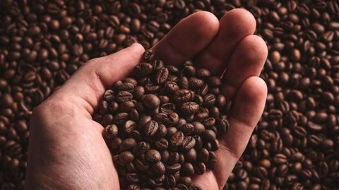 Conab projeta queda de 4,4% na produção de café em 2025 - Imagem: Reprodução / Freepik