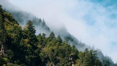 Principal objetivo do projeto é padronizar e acelerar os processos de licenciamento ambiental em todo o território nacional - Imagem: Reprodução / Pixabay