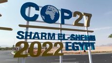O que esperar do Brasil na COP 27? - Imagem: reprodução R7