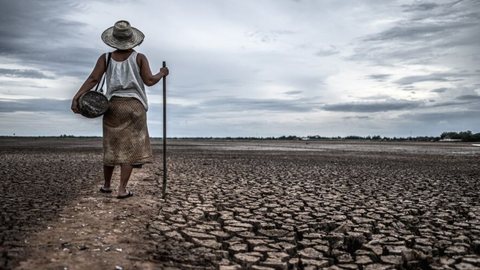 COP29 estabelece acordo de US$ 300 bilhões por ano para combater mudanças climáticas - Imagem: Reprodução / Freepik