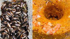 Você já experimentou Couscous do Mar? Saiba como preparar! - Imagem: Divulgação/Coluna Esplanada