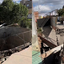 Incidente ocorreu durante obra de implantação da rede de esgoto - Imagem: Reprodução