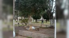 As autoridades, incluindo a Polícia Militar e o Conselho Tutelar, foram acionadas para investigar o incidente - Imagem: Reprodução / Corpo de Bombeiros de Santa Catarina