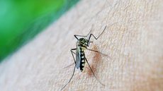 Autoridades alertam para surto e intensificam campanhas de vacinação - Imagem: Reprodução / Pixabay