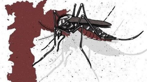 Dengue: Governo de São Paulo decreta estado emergencial da doença - Imagem: reprodução Twitter I @Metropoles