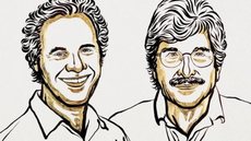 Descoberta dos microRNAs rende Nobel de Medicina a pesquisadores - Imagem: Divulgação / Prêmio Nobel
