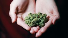 Descriminalização da maconha - Imagem: Reprodução | Freepik