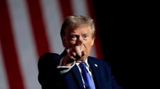 Mais de três milhões de arquivos revelam denúncias de abuso sexual envolvendo Donald Trump e outros nomes influentes - Imagem: Reprodução/X @updatecharts