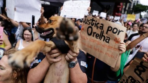 Manifestantes em São Paulo e outras cidades exigem respostas das autoridades após a morte do Cão Orelha - Imagem: Reprodução/X @metropoles