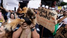 Manifestantes em São Paulo e outras cidades exigem respostas das autoridades após a morte do Cão Orelha - Imagem: Reprodução/X @metropoles