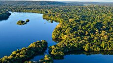 Explorando a economia da floresta como solução para a preservação e geração de renda na Amazônia - Imagem: Reprodução/Governo Federal