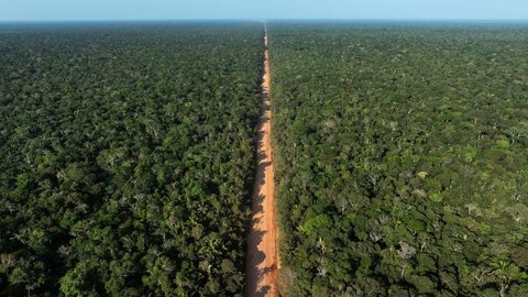 A recente disputa judicial sobre a pavimentação da BR-319 reflete a urgência de garantir direitos básicos para a população local - Imagem: Reprodução/Redes Sociais