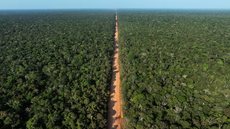 A recente disputa judicial sobre a pavimentação da BR-319 reflete a urgência de garantir direitos básicos para a população local - Imagem: Reprodução/Redes Sociais