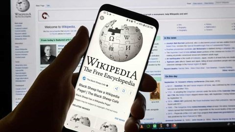 Desde sua criação, a Wikipédia cresceu exponencialmente - Imagem: Reprodução/Redes Sociais