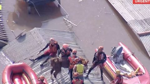 Égua ‘Caramelo’ é resgatada de telhado após ficar ilhada por quatro dias em Canoas - Imagem: Reprodução/TV Globo