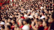 Flamengo lidera o ranking de torcidas com 26%, seguido pelo Corinthians com 19%, mostrando a popularidade dos clubes - Imagem: Reprodução