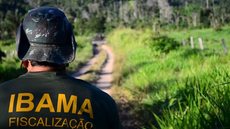Imagem: Reprodução/G1
