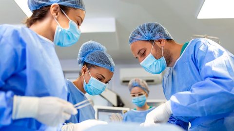 Doação de órgãos: São Paulo tem alta de 10% em doadores neste ano - Imagem: reprodução Freepik